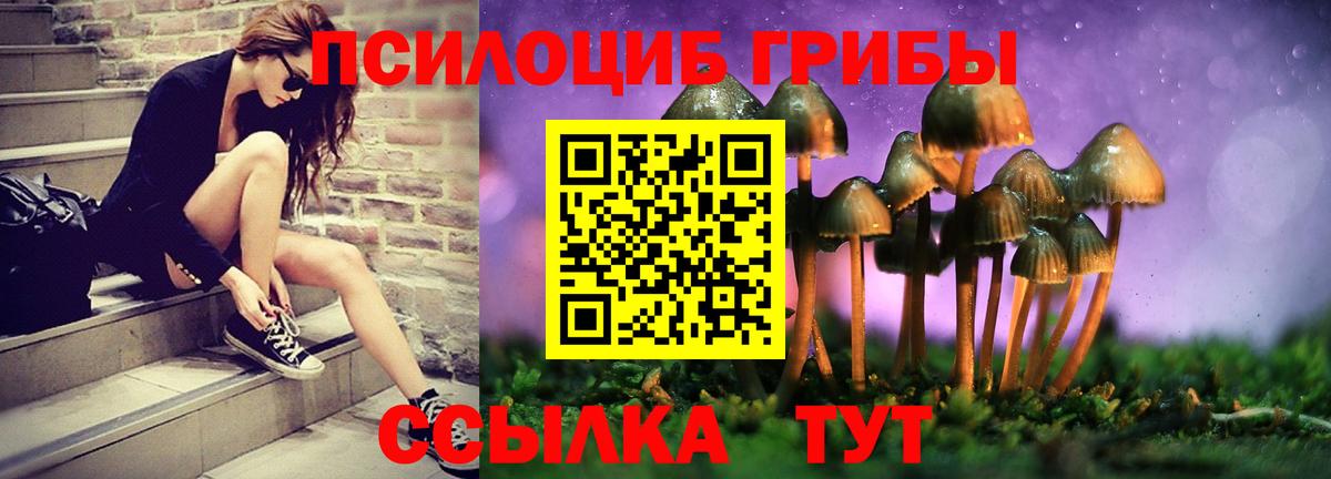 Богородск  Галлюциногенные грибы Cubensis  Псилоцибиновые грибы Magic Shrooms  Вход с VPN 