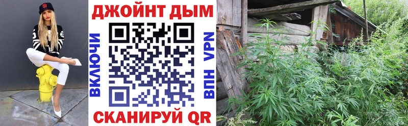 продажа наркотиков  Богородск  Канабис марихуана 